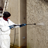 Homeshield - Exterior Walls cleaning down